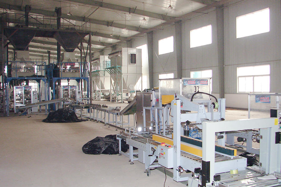 Sitio de procesamiento de semillas (línea de embalaje) de la industria de semillas de China